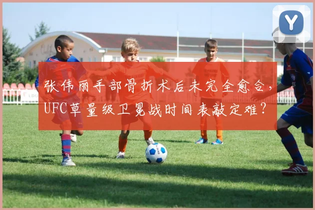 张伟丽手部骨折术后未完全愈合，UFC草量级卫冕战时间表敲定难？